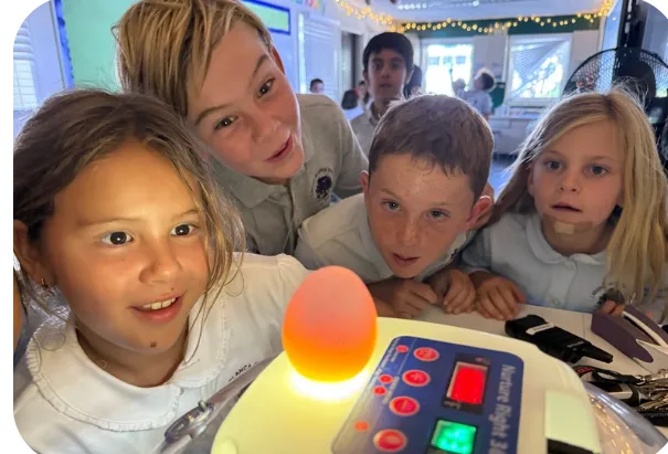 youth looking at a chicken egg illuminated and showing what's inside