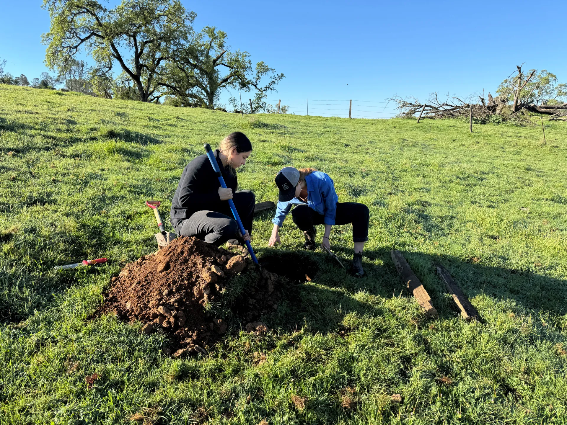 Two people looking at soil pit on rangeland.