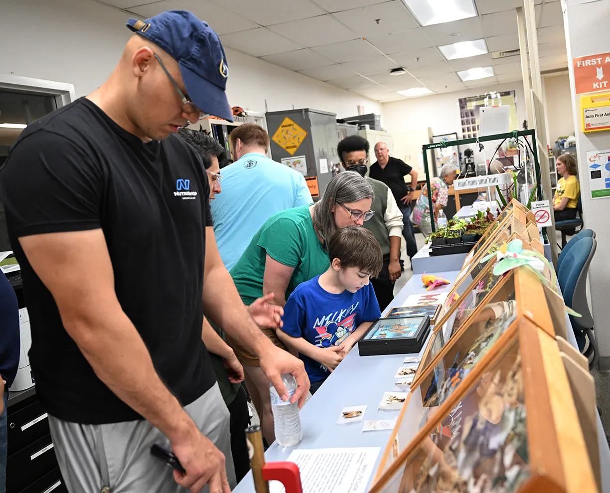 Crowd looking at moth specimens at the 2025 Bohart Museum of Entomology's Moth Night. (Photo by Kathy Keatley Garvey)