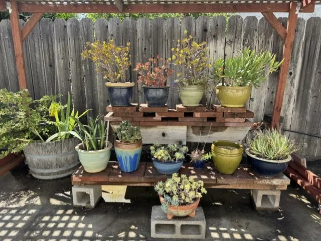 Lattice shade support in place over succulent garden on RV pad.
