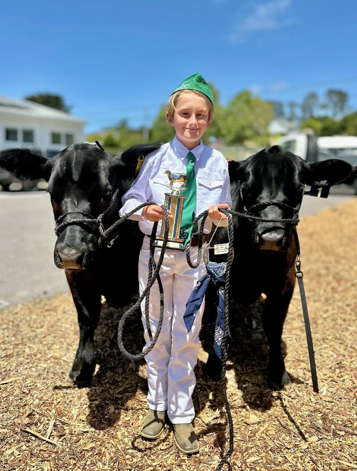 4-H member in a white uniform and green hat and tie with two beef cattle on each side of the member