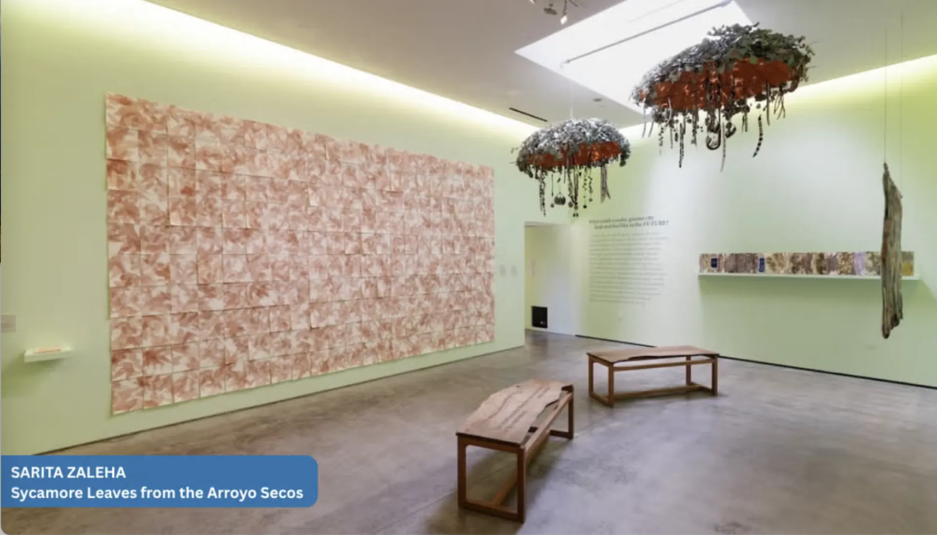 Sycamore leaves cover a large rectangular area of a wall. Two artwork chandeliers hang above two benches in middle of room