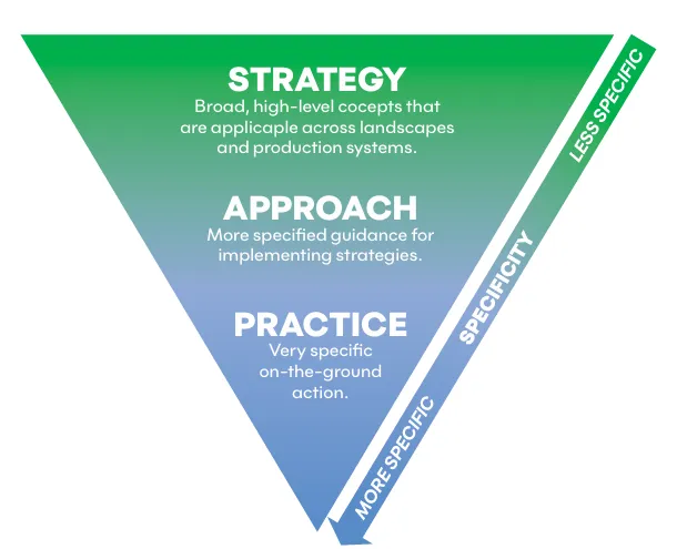 Image showing moving from a broad strategy, to a more specific approach, and then a more specific practice 