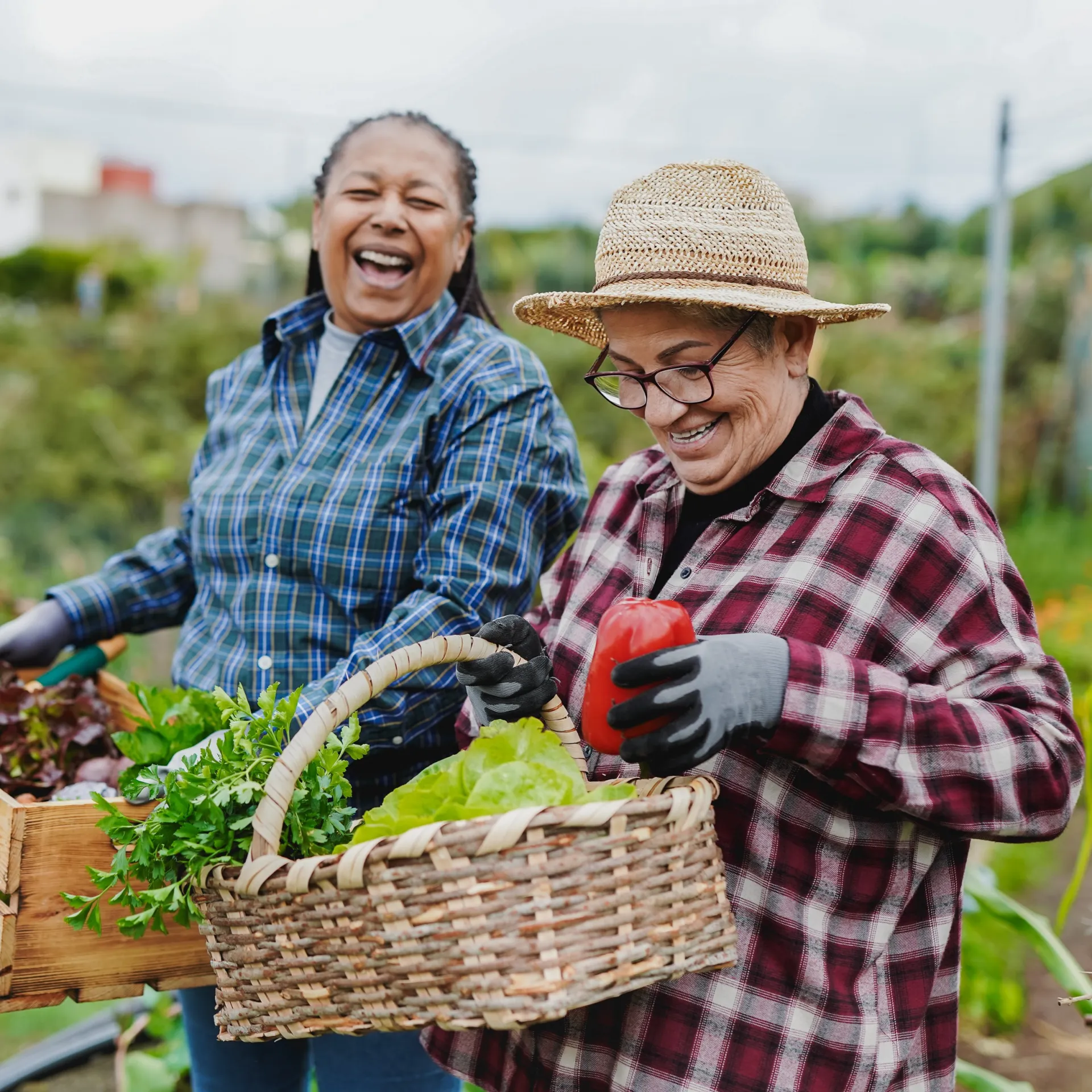 happy farmers