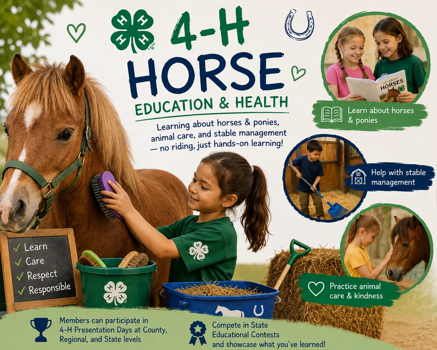 4-H Horse Education & Health graphic featuring a child grooming a pony and other children learning about horses, caring for animals, and helping with stable management. Text highlights learning about horses and ponies, animal care, stable management, kindness, and participation in 4-H Presentation Days and State Educational Contests.