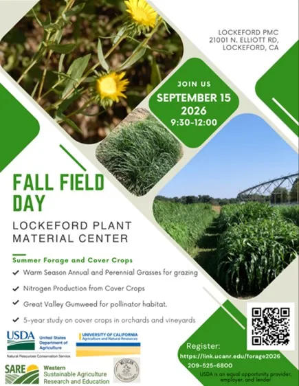 cover crops field day