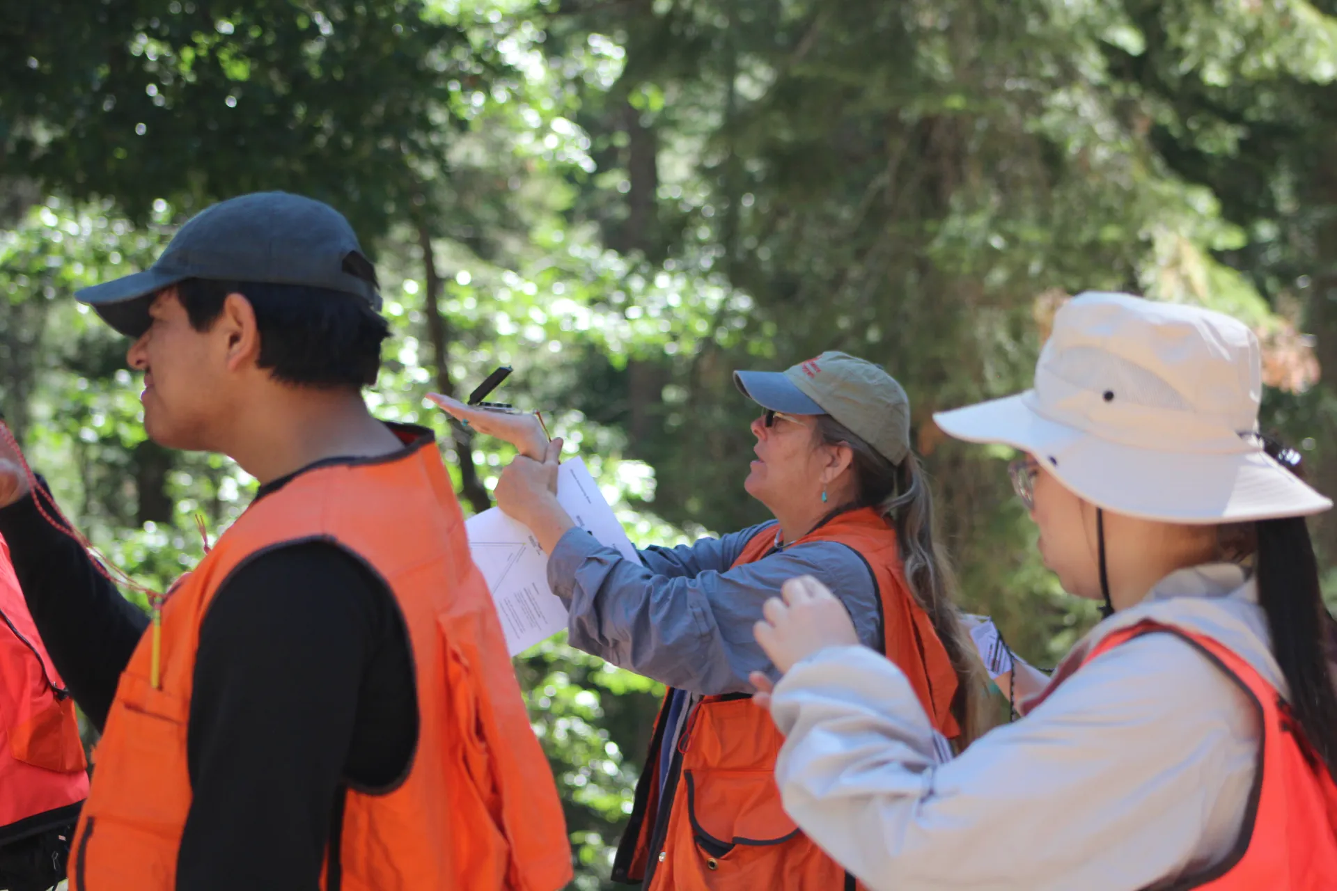 Group of people in orange vests use a compass.