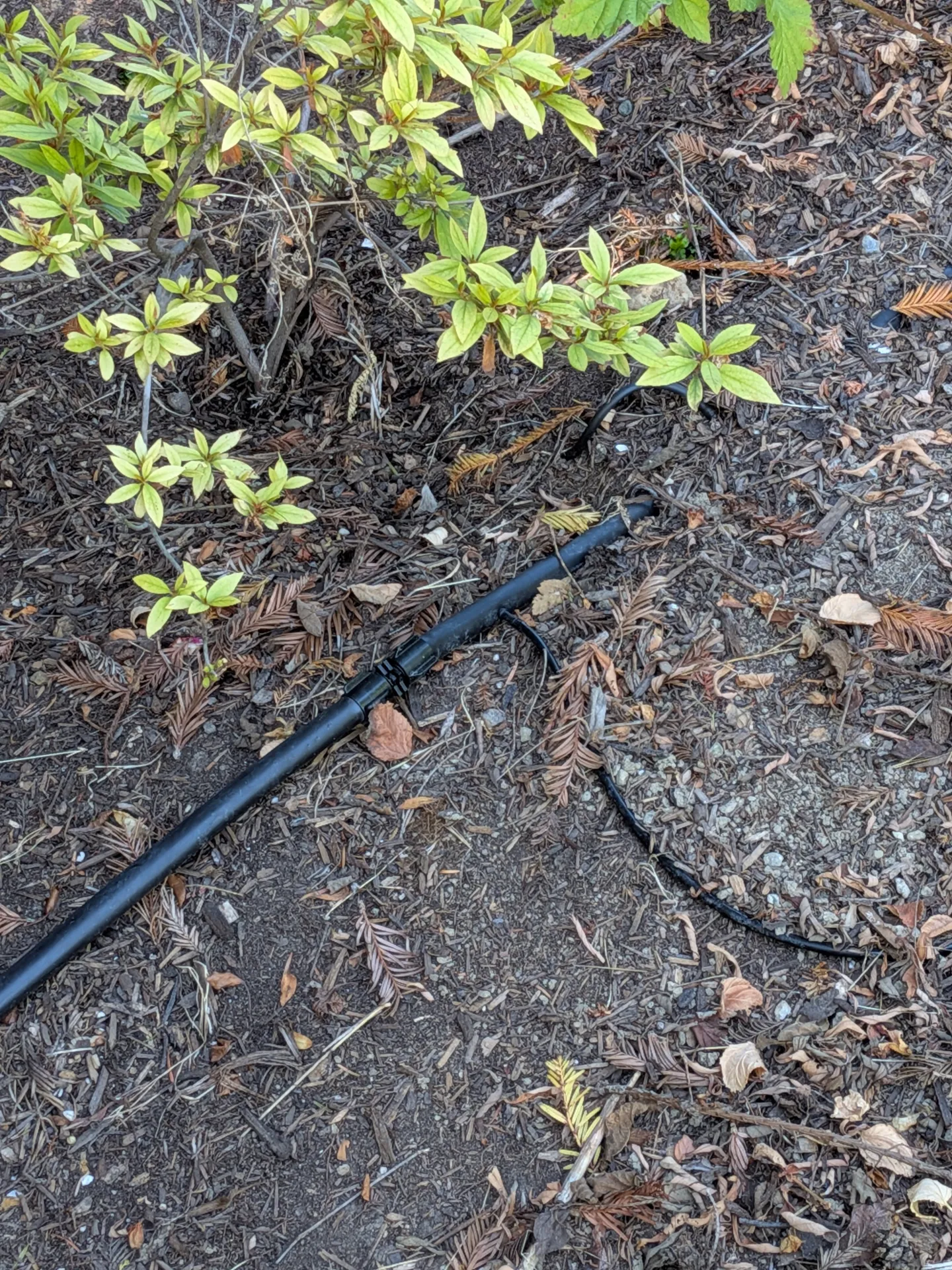 irrigation line on dirt in garden