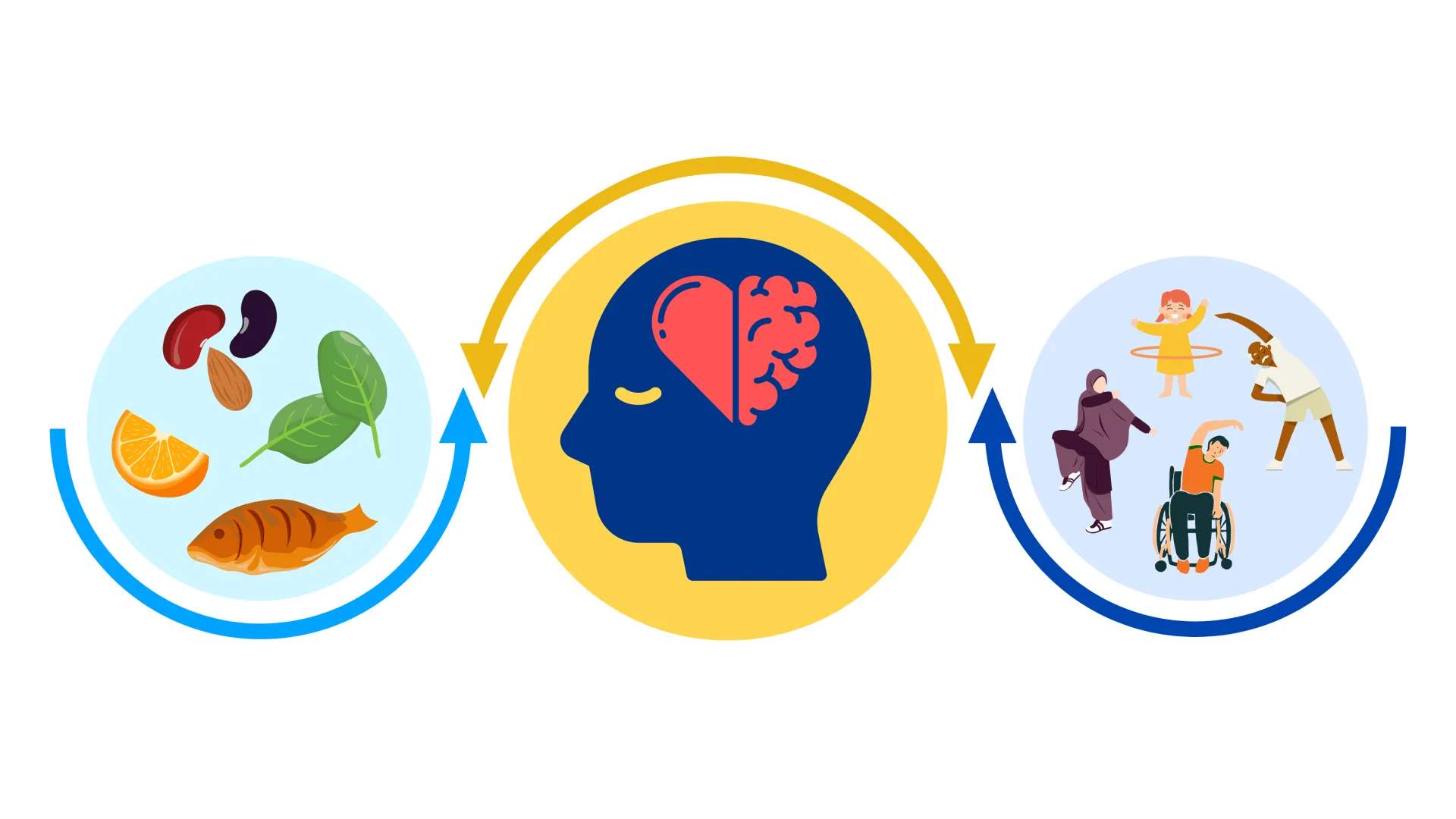 An image with three circles where the first circle shows food, the second shows a brain and the third shows people exercising. There are arrows going in both directions to show an interconnected relationship
