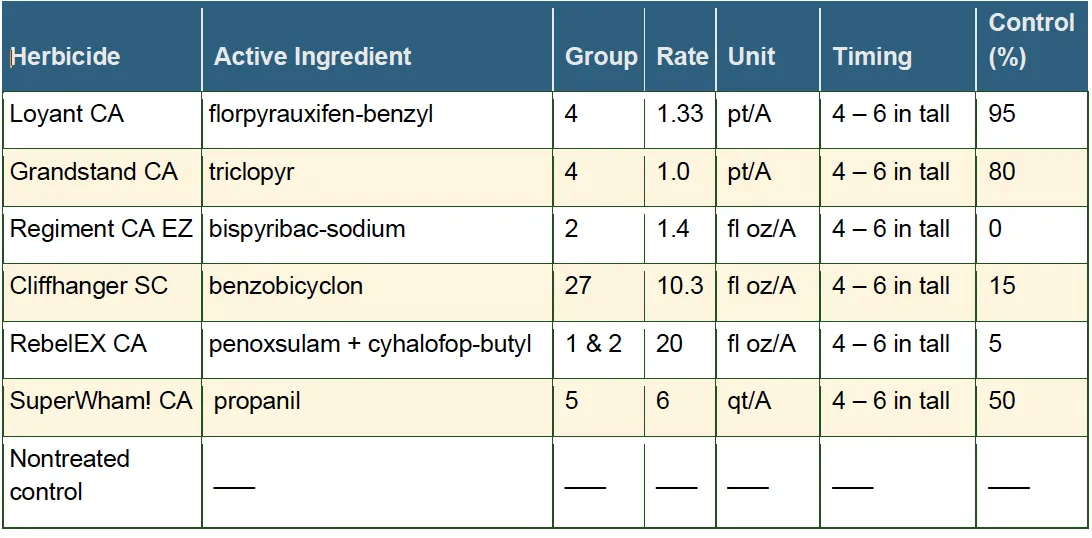 Herbicide efficacy trial results, applied at 4–6 inch weed growth stage. Loyant CA (florpyrauxifen-benzyl, Group 4, 1.33 pt/A): 95% control. Grandstand CA (triclopyr, Group 4, 1.0 pt/A): 80% control. Regiment CA EZ (bispyribac-sodium, Group 2, 1.4 fl oz/A): 0% control. Cliffhanger SC (benzobicyclon, Group 27, 10.3 fl oz/A): 15% control. RebelEX CA (penoxsulam + cyhalofop-butyl, Groups 1 & 2, 20 fl oz/A): 5% control. SuperWham! CA (propanil, Group 5, 6 qt/A): 50% control. Nontreated control: no data.