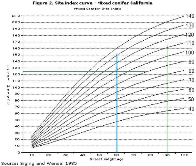 Graph showcasing how tree height relates to breast height age.