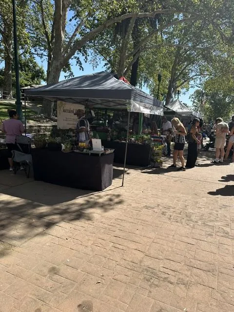 farmers market booth with the public walking around looking at their wares