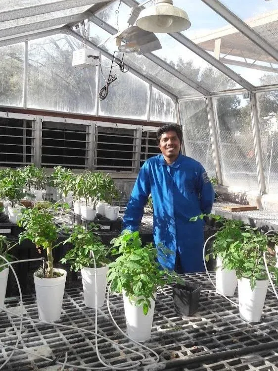 Shah Alam working in the Amanda Hodson lab.