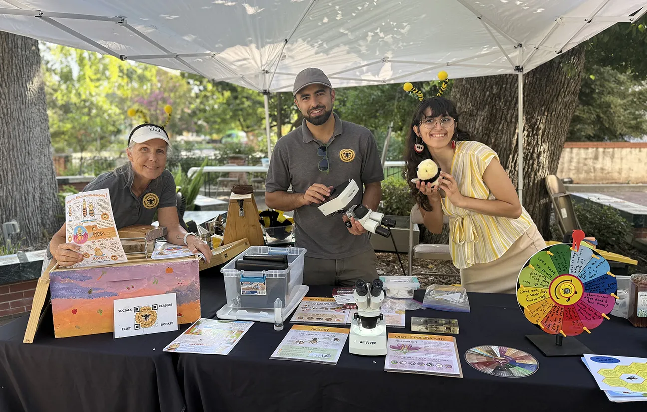 Engaging in a honey bee outreach program at the 2025 Vacaville Museum Guild's Annual Children's Party, a traditional event launched in 1984, are (from left) Wendy Mather and Kian Nikzad, co-program managers of the UC Davis-based California Master Beekeeper Program, and Samantha "Sam" Murray, education and garden coordinator of the UC Davis Bee Haven. All are members of the E. L. Niño lab, UC Davis Department of Entomology and Nematology. (Photo by Kathy Keatley Garvey)