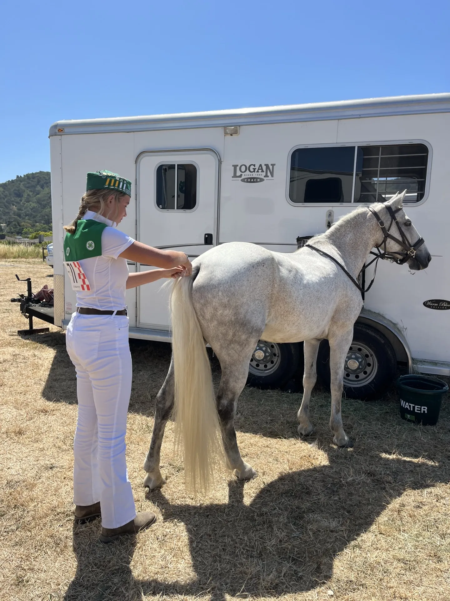 A 4-H member in a white uniform with a green scarf and hat combing a white horse with a horse trailer in the background