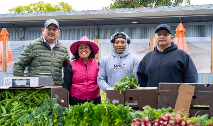 Four farmers stand behind a table of leafy greens