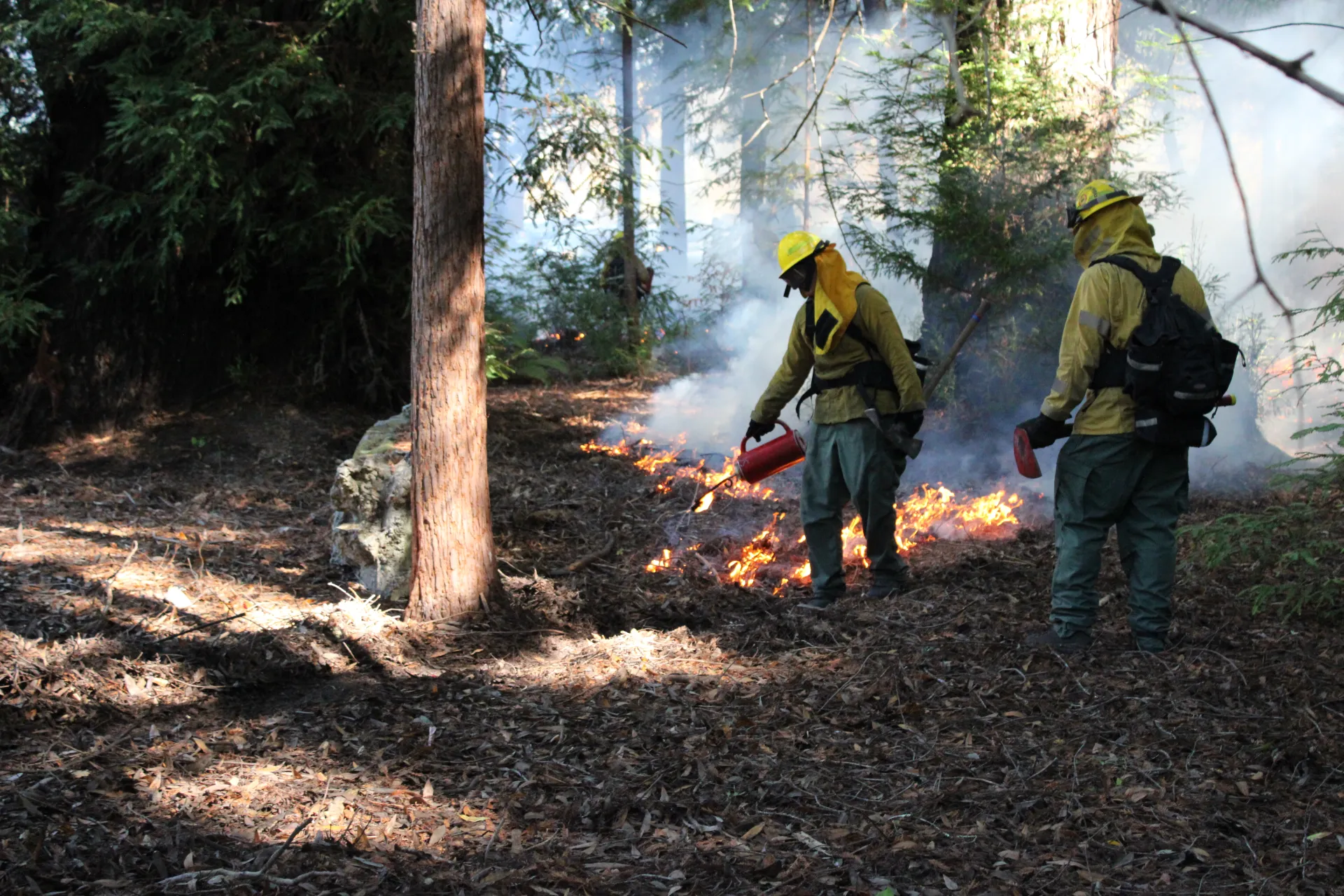 A person uses a drip torch to light a fire on forest floor as another person observes