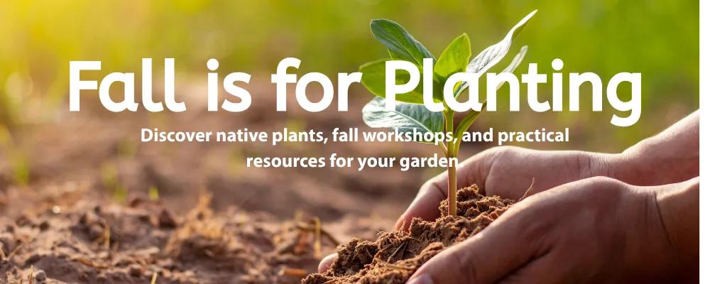 Banner says, "Fall is for Planting" and "Discover native plants, fall workshops and practical resources for your garden" over a background with a close-up view of hands planting a small plant