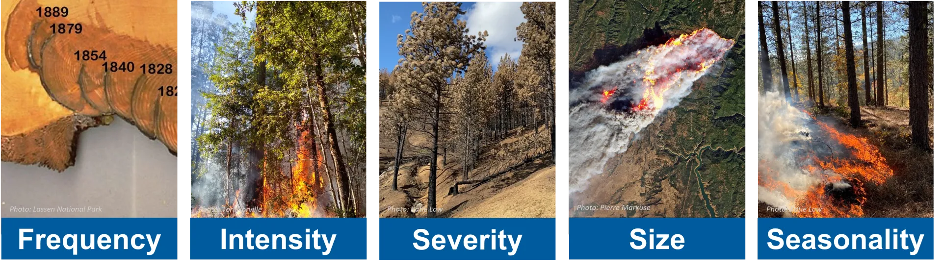 Five components of a fire regime: frequency, intensity, severity, size, and seasonality.