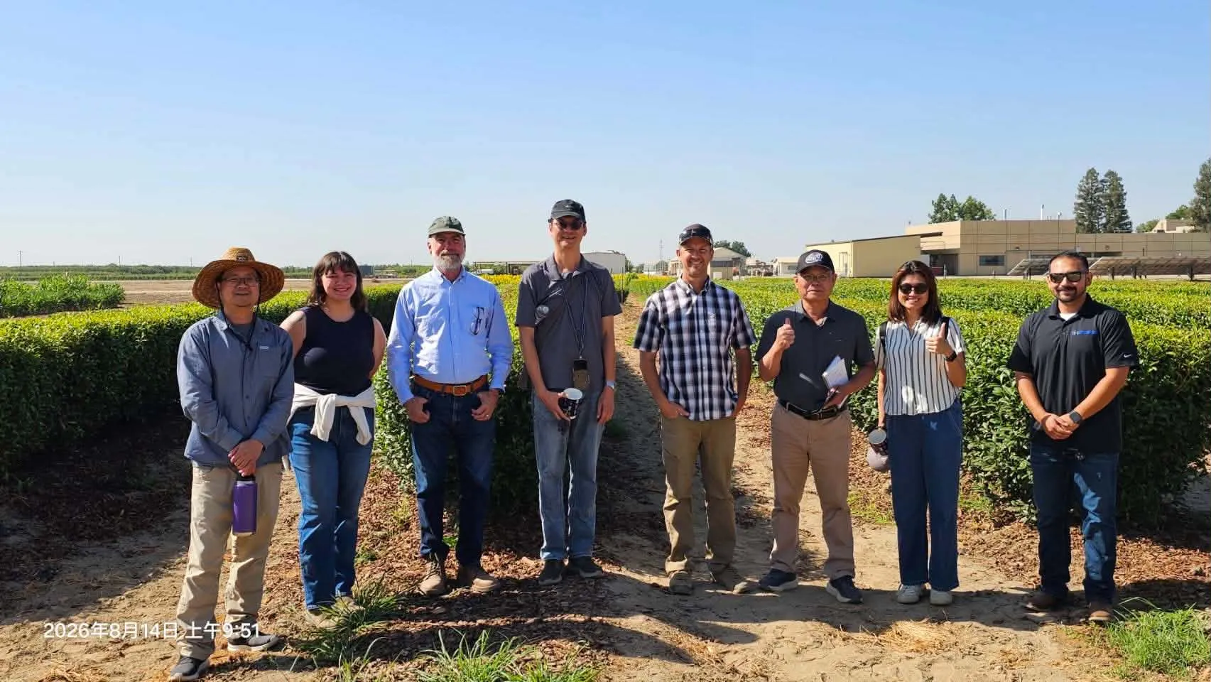 Eight people standing in front of tea plants in field