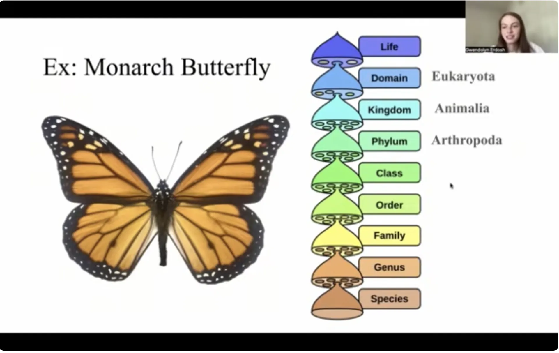 A slide from Gwen Erdosh's lecture focuses on a monarch butterfly.