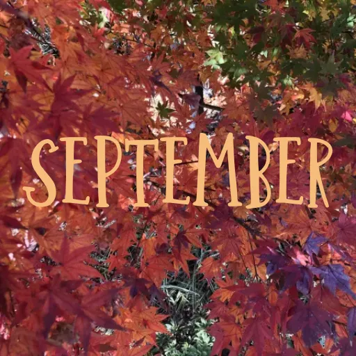 Red maple leaves behind a "September" label