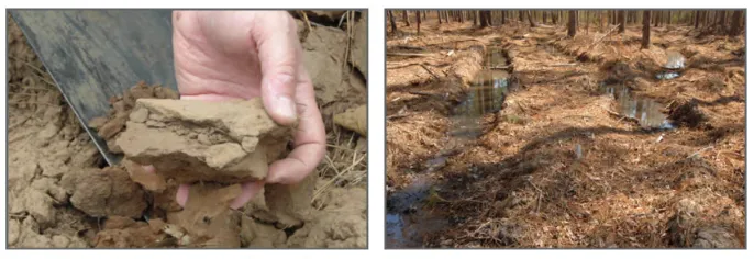 Left: compacted soil. Right: ruts in soil.