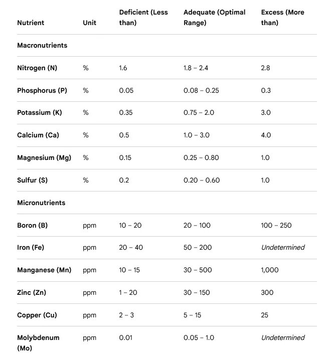 avo leaf analysis