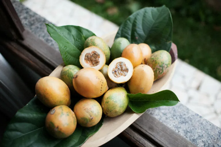A wooden bowl filled with fresh yellow-green round fruits and one cut open to show a browns seeds. The bowl is lined with glossy green leaves.