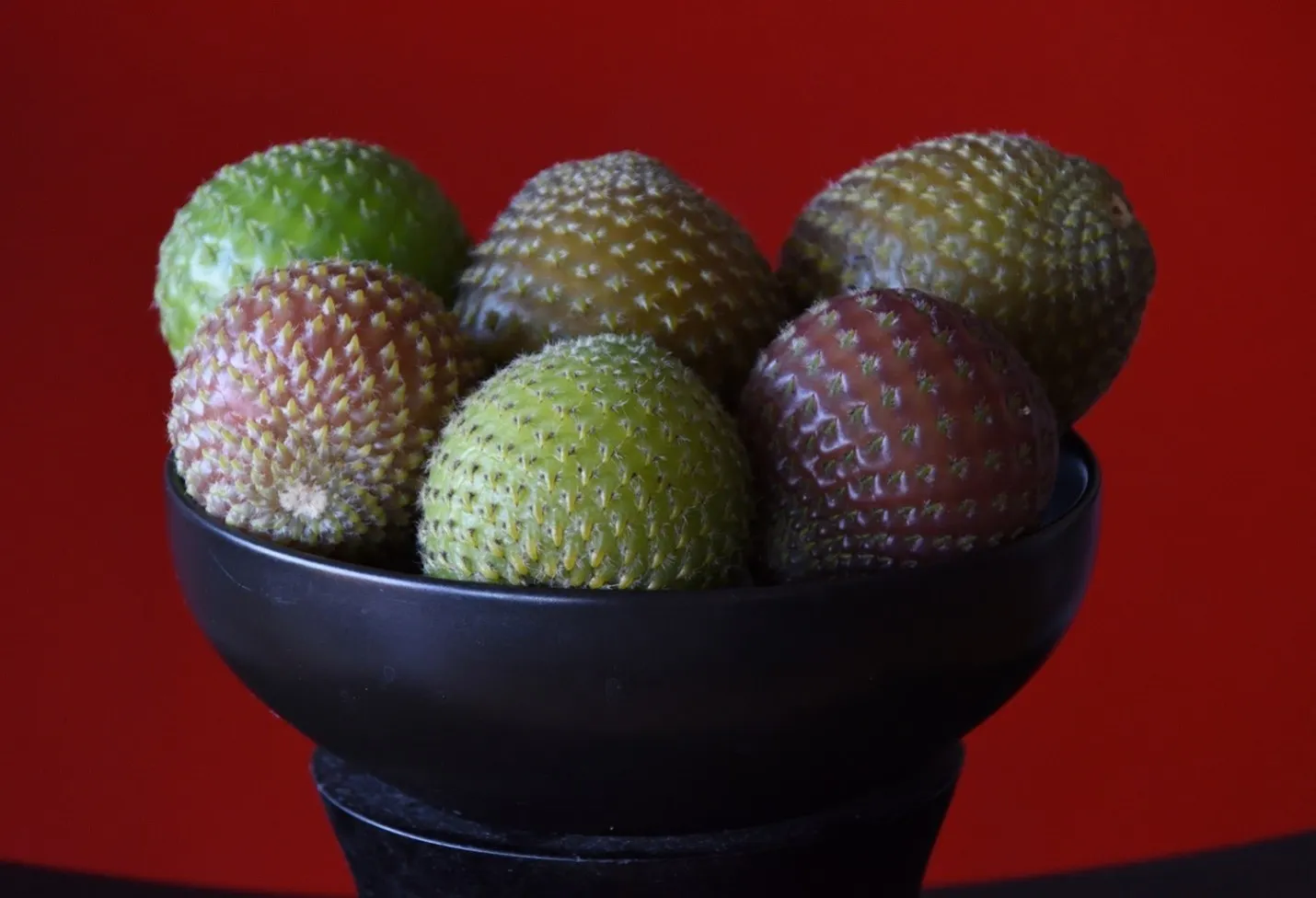rumpa fruit