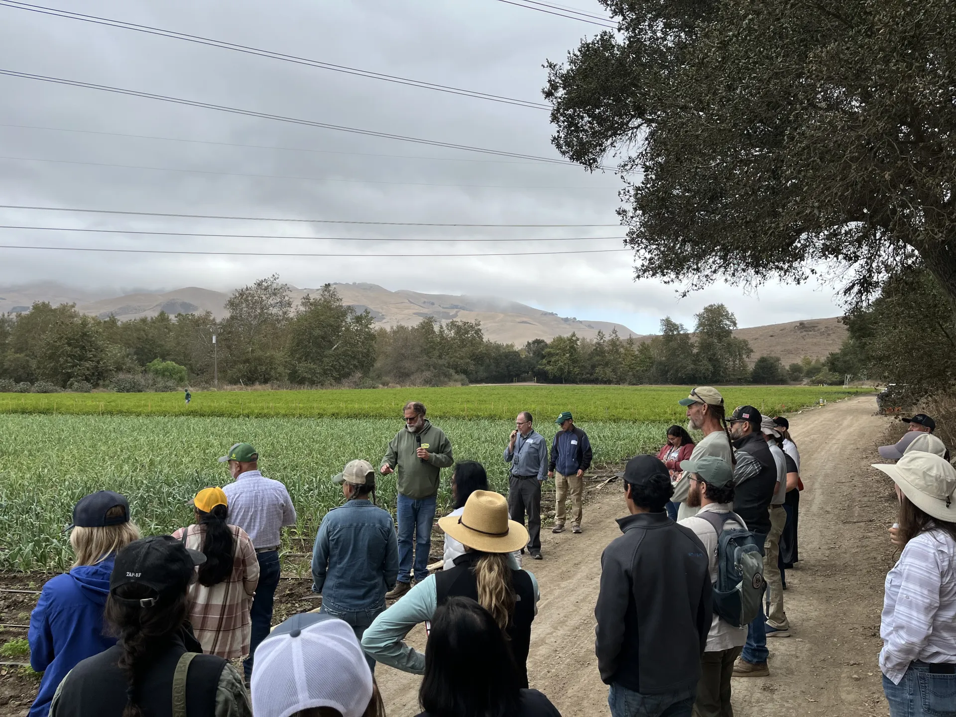 Tour participants standing at the edge of a vegetable field with leeks and peppers listening to operator speak into a microphone