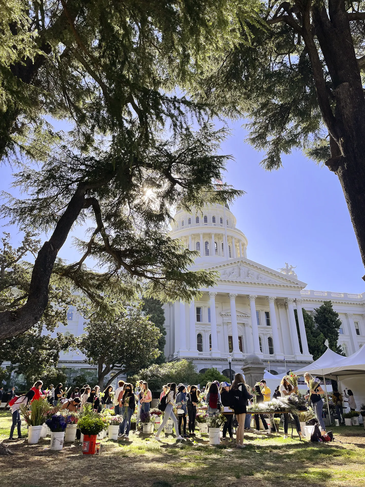 ag day picture of capitol