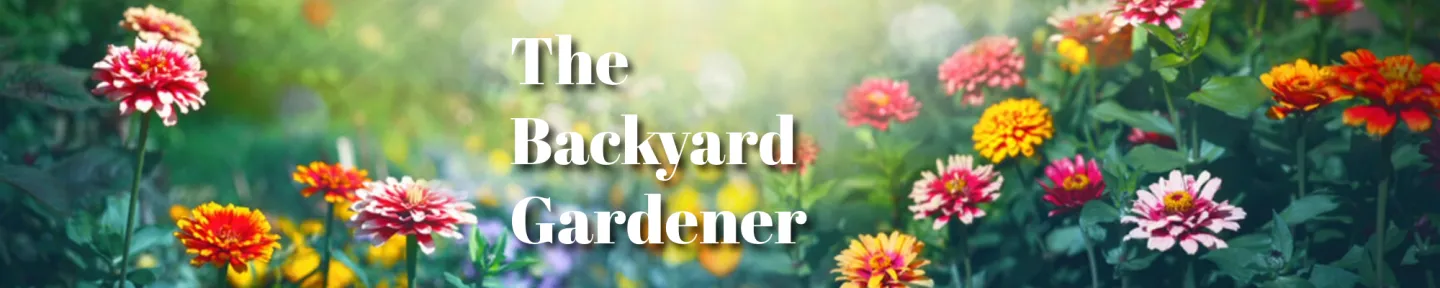 Banner with words: The Backyard Gardener