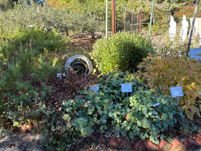 Demo Garden Fall Cottage 