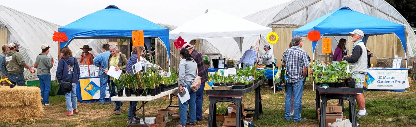 Master Gardener Plant Sale Event