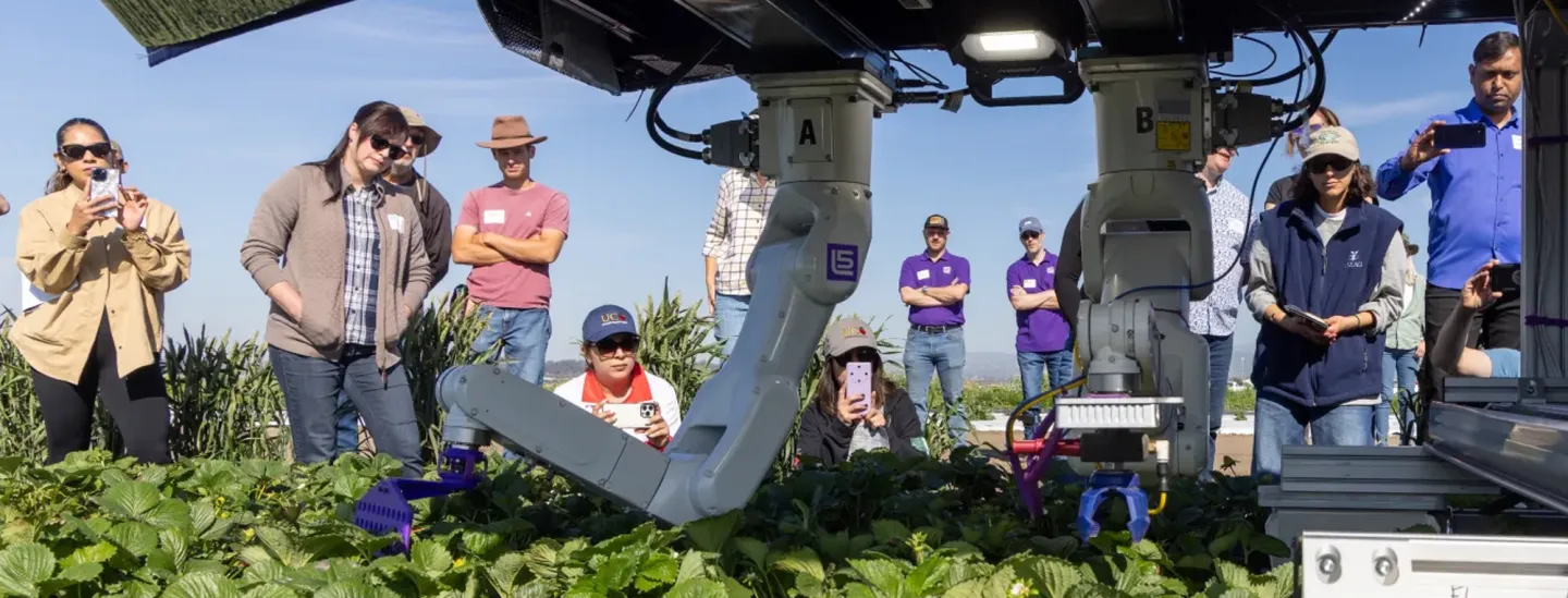 Strawberry harvesting robot demonstration at Hansen Agricultural Research and Extension Center