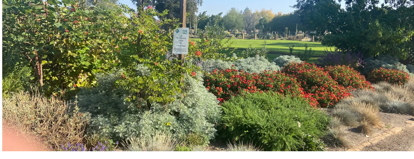 North Garden at GOS waterwise plants