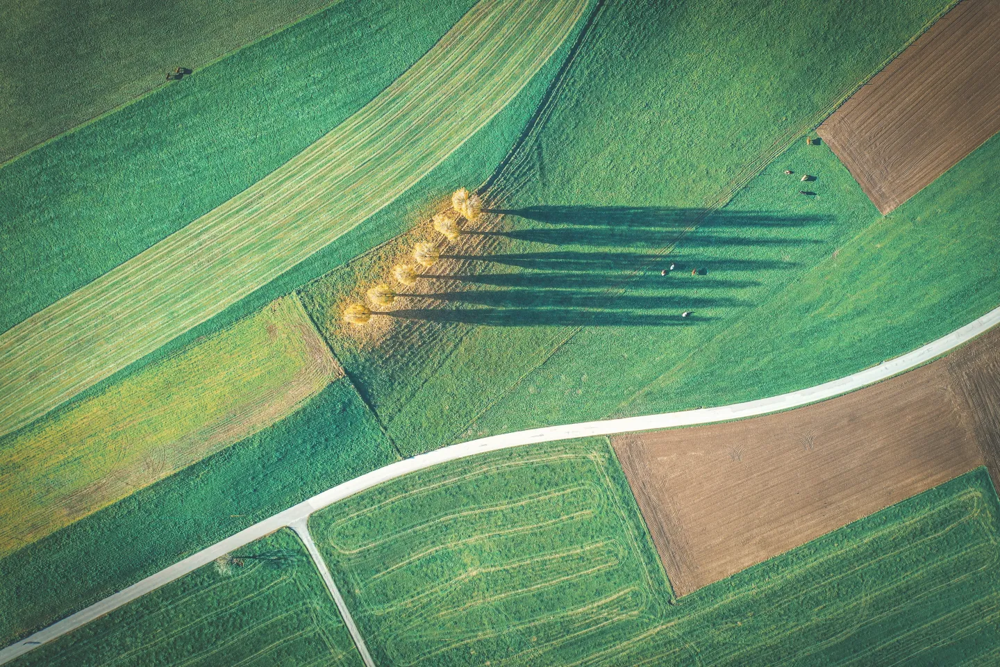 drone footage of farmland