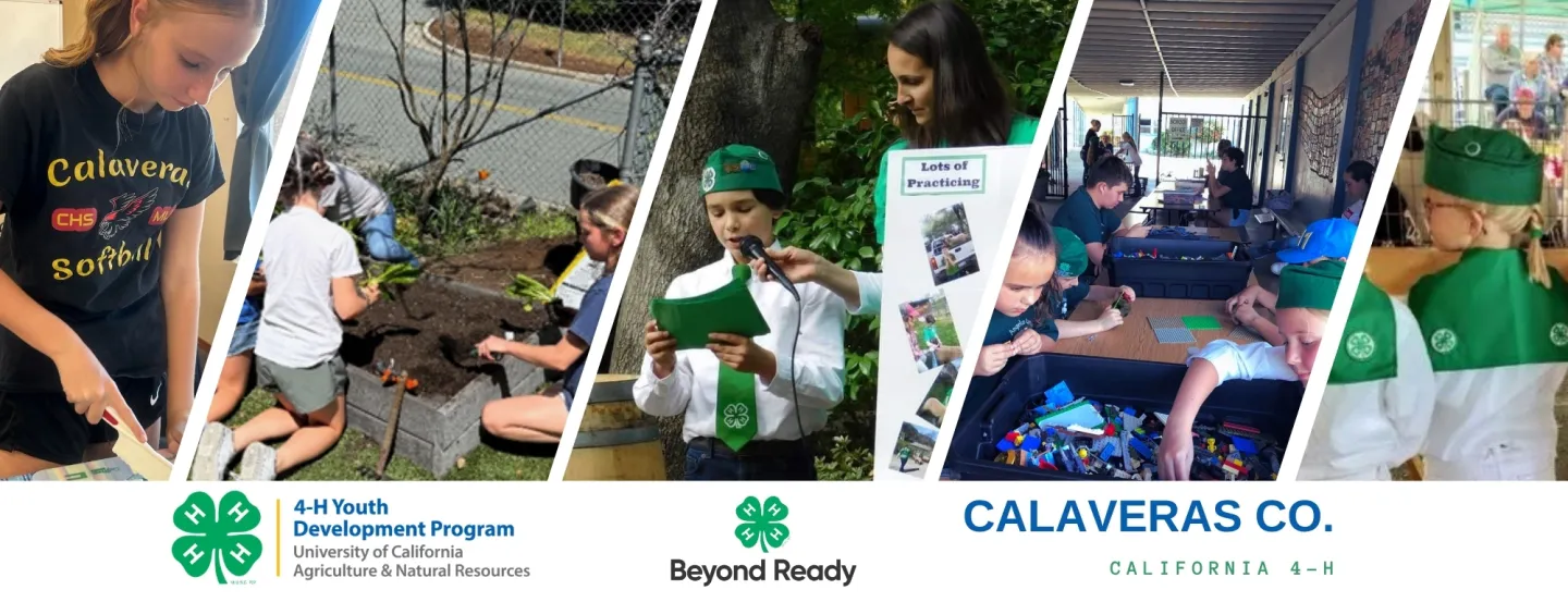 Collage of Calaveras County 4-H youth participating in activities such as cooking, LEGO building, showing rabbits, gardening, and public speaking. 