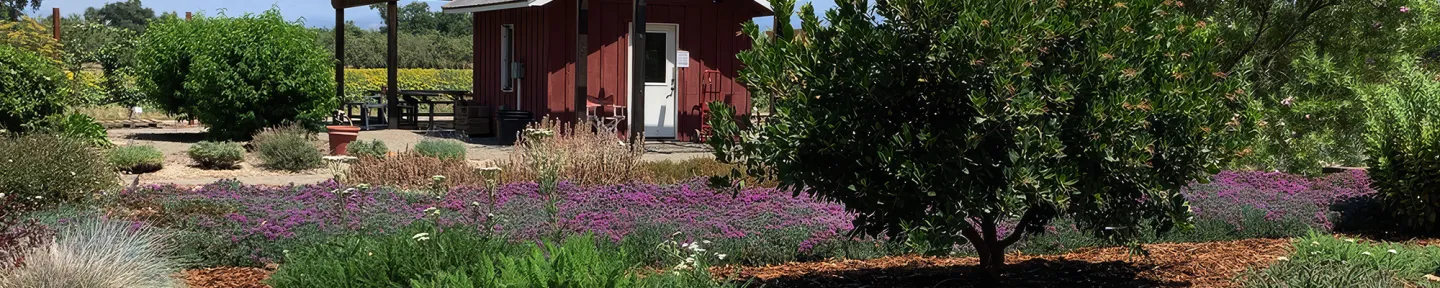 Demonstration garden with the outdoor classroom in the back.