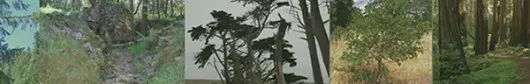microclimatebanner