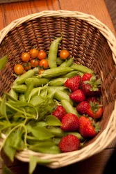 FoodBasket