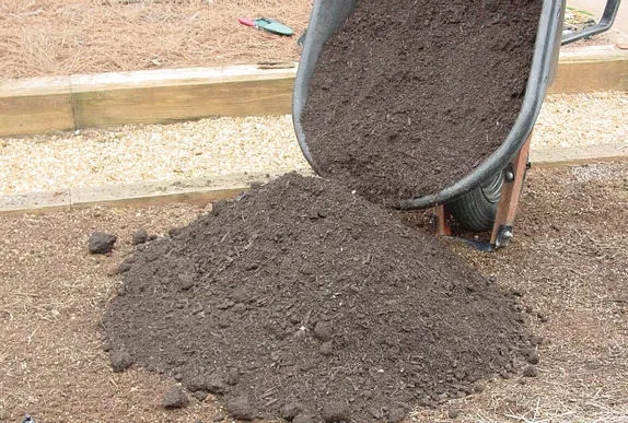 WSSA Compost WeedFree compost on bed