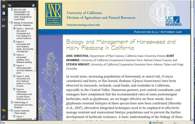 ANR 8314 Conyza weeds