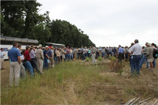 UC Davis Weed Day 2011 1