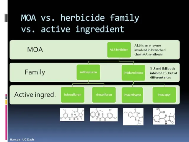 moa comparison hanson ucd