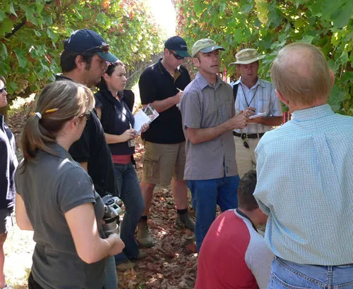 Matt Fidelibus at a viticutlure field day at the UC Kearney Agricultural Research and Extension Center.