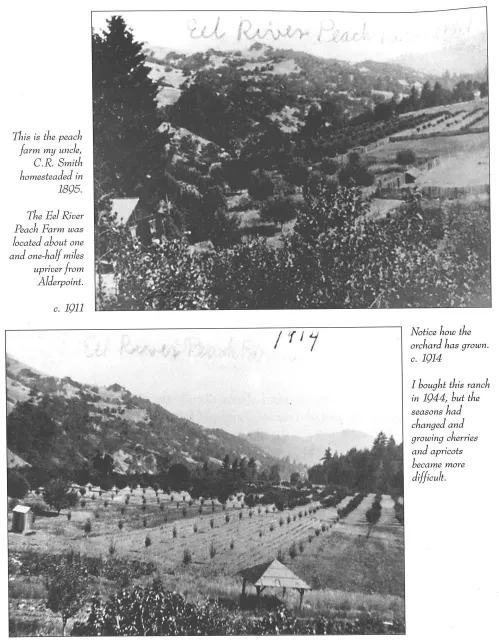 Eel River Peach Farm Alderpoint Cropped