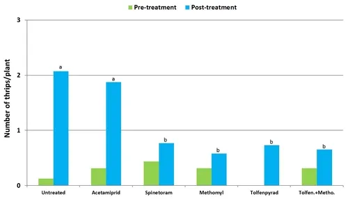2011 Lettuce thrips graph-Pre and Post