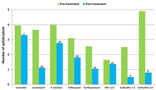 2012 Broccoli aphid trial graphs-Pre and Post-All aphids